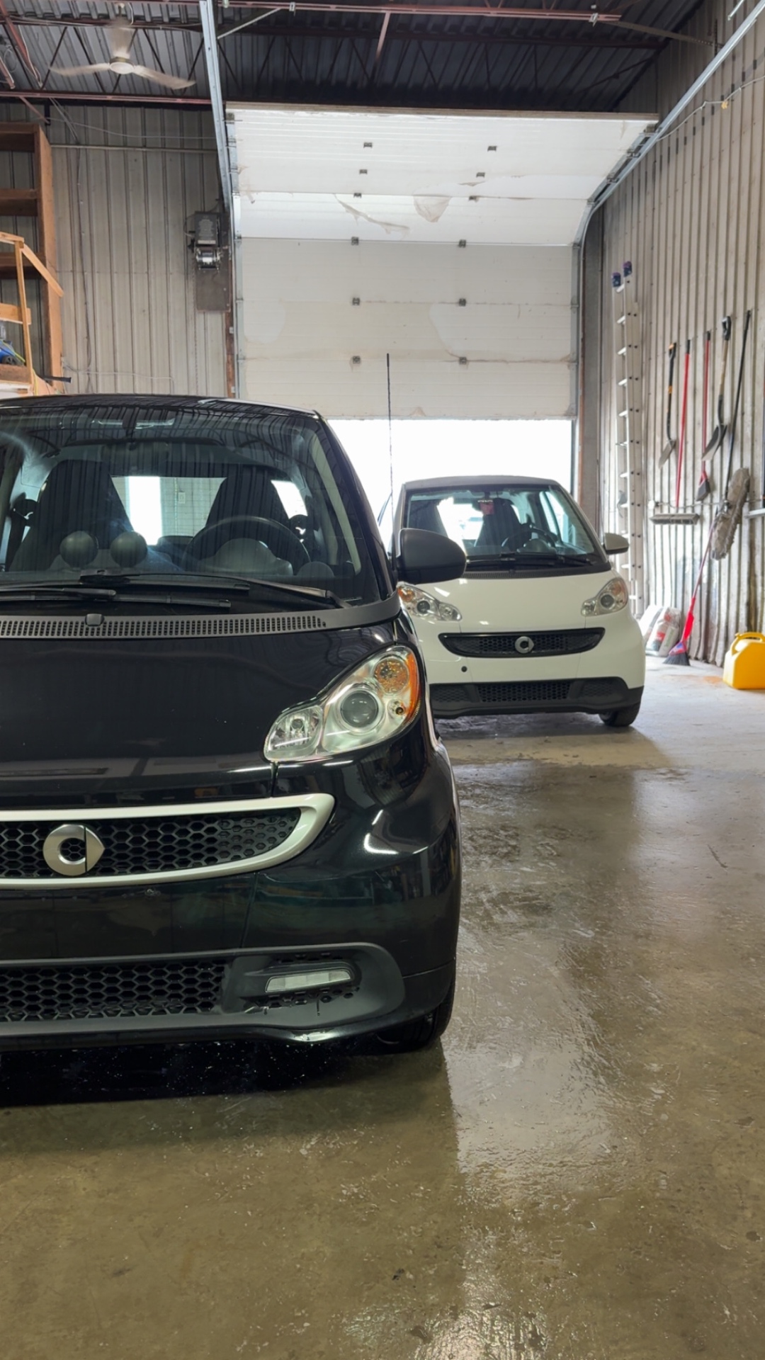 VIP Auto Care | Premium Auto Detailing in St-Hubert
